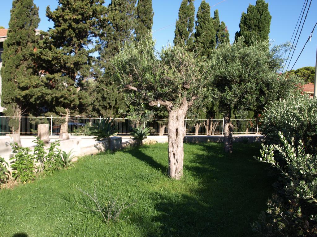 Guesthouse Anchise 38 Pizzolungo Dış mekan fotoğraf