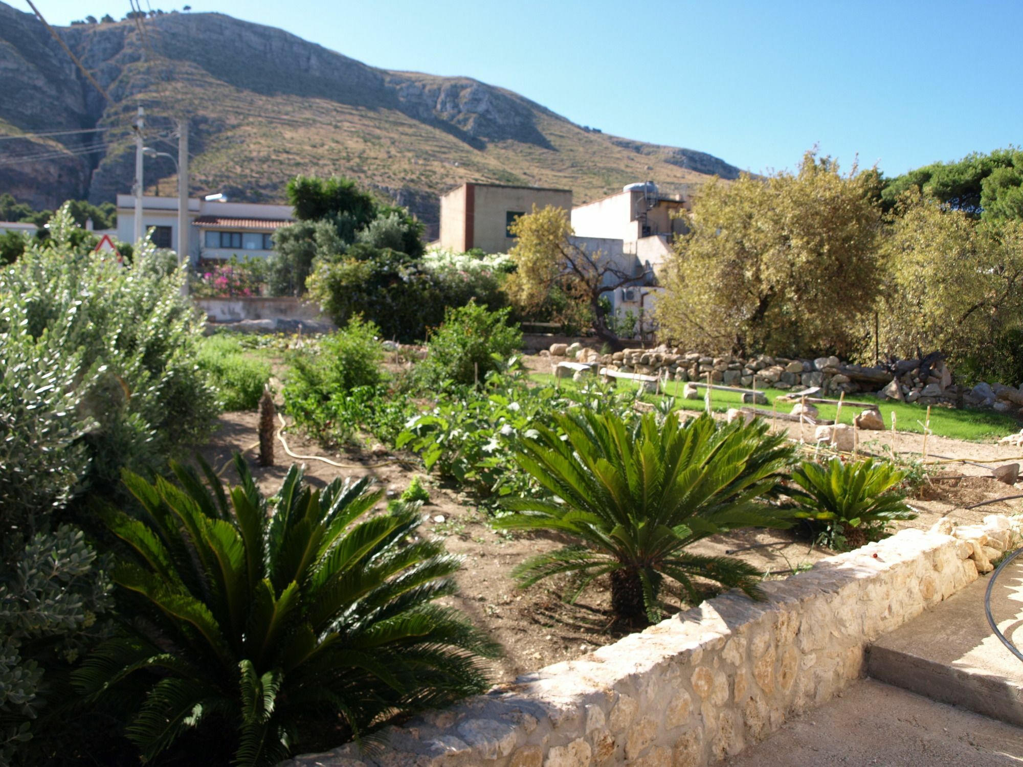 Guesthouse Anchise 38 Pizzolungo Dış mekan fotoğraf